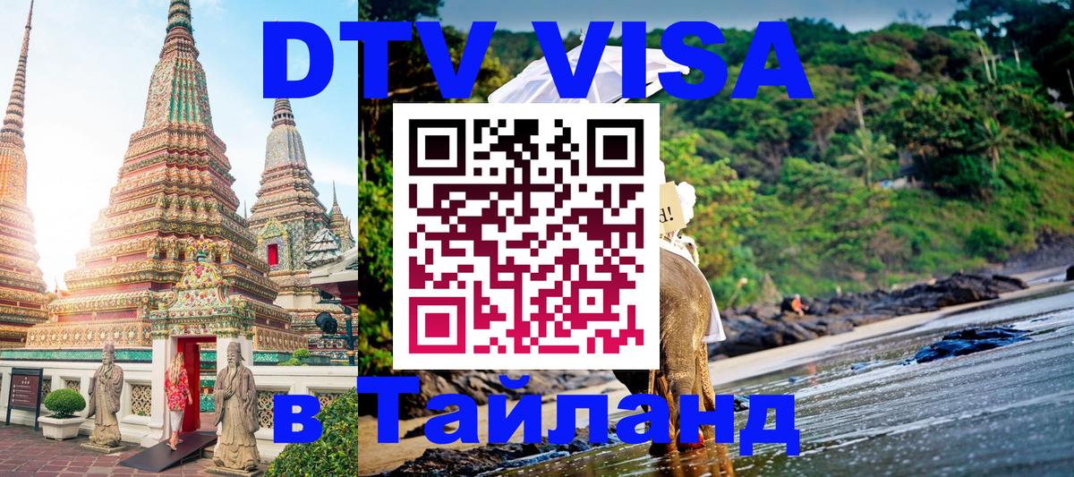 Оформление DTV визы под ключ: стоимость и тарифы, только загранпаспорт - 20.11.2025 